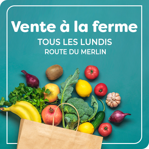 MARCHE_Vente ferme_V2.jpg