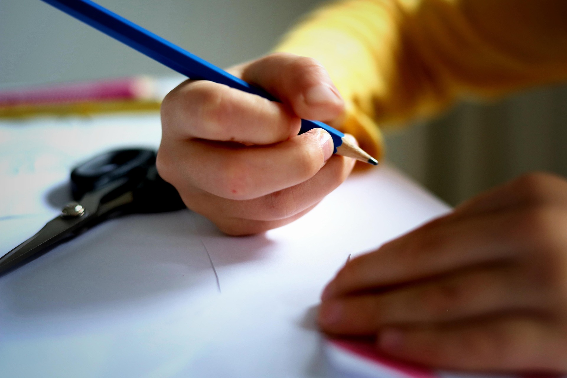 image école illustration.jpg