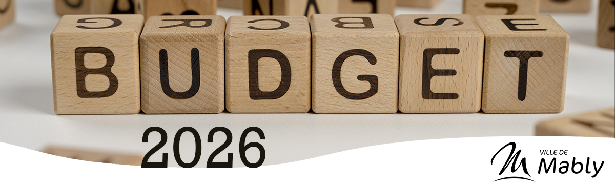 ENTETE_Budget 2026.png