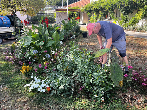 Entretien d_un massif.jpg
