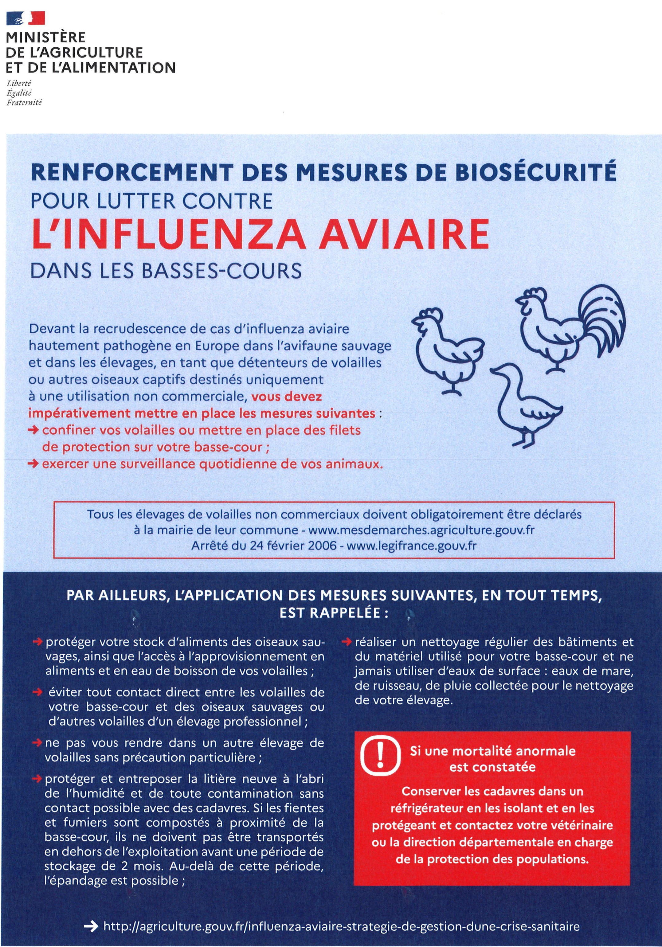 poule.jpg