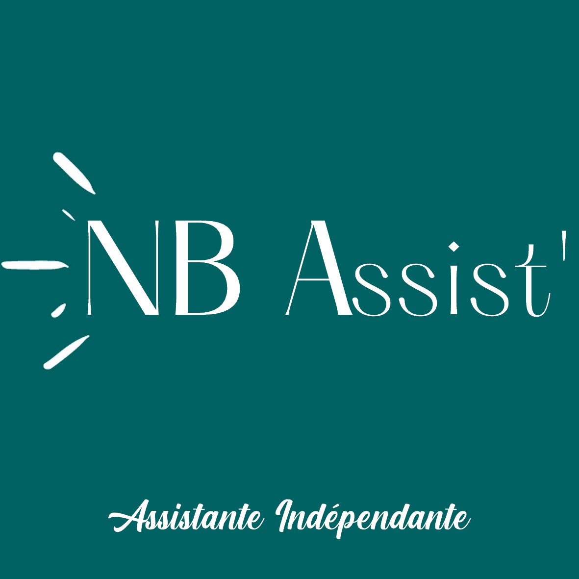 logo nb assist.jpg