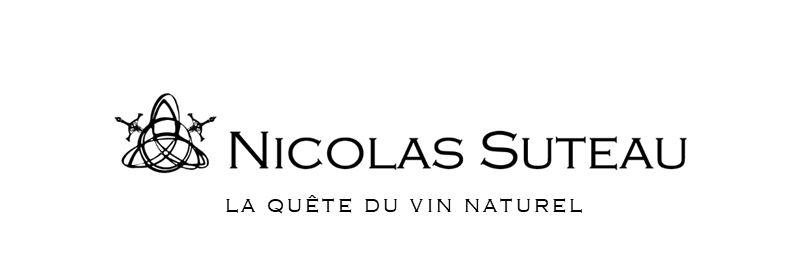 LOGO DOMAINE SUTEAU.png