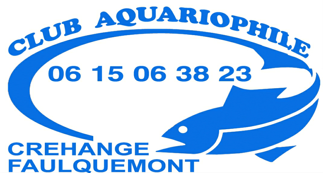 Club aquariophile.png