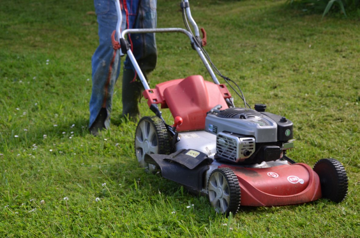 nuisance sonore tondeuse.jpg