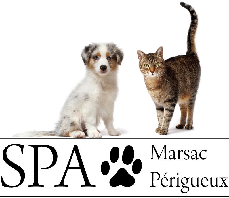 spa 2.jpg