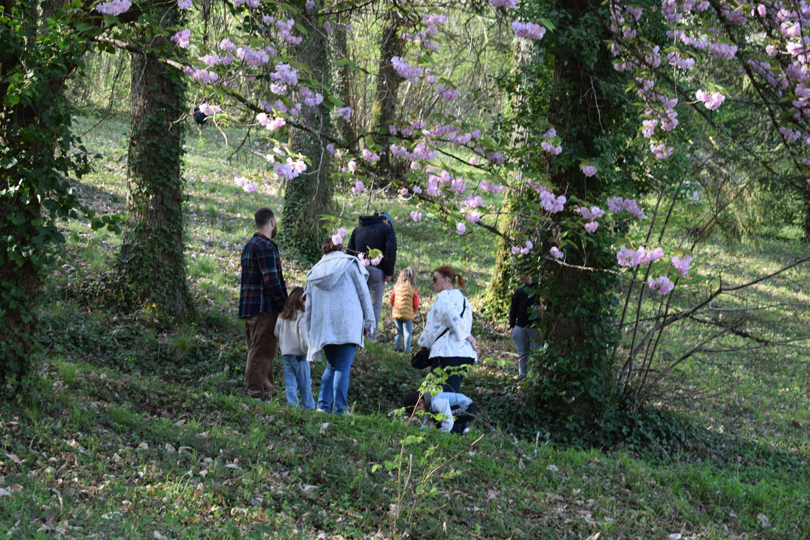 26_chasse aux oeufs_1.JPG