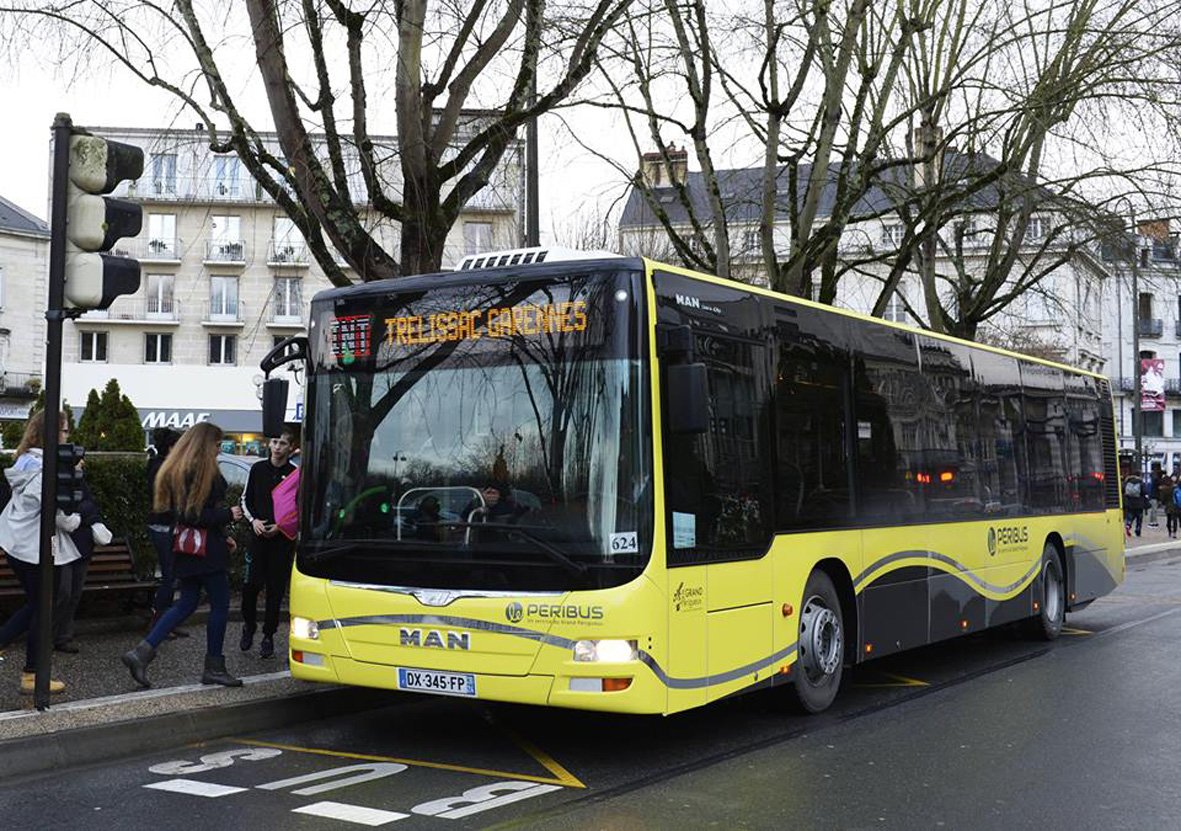 Péribus
