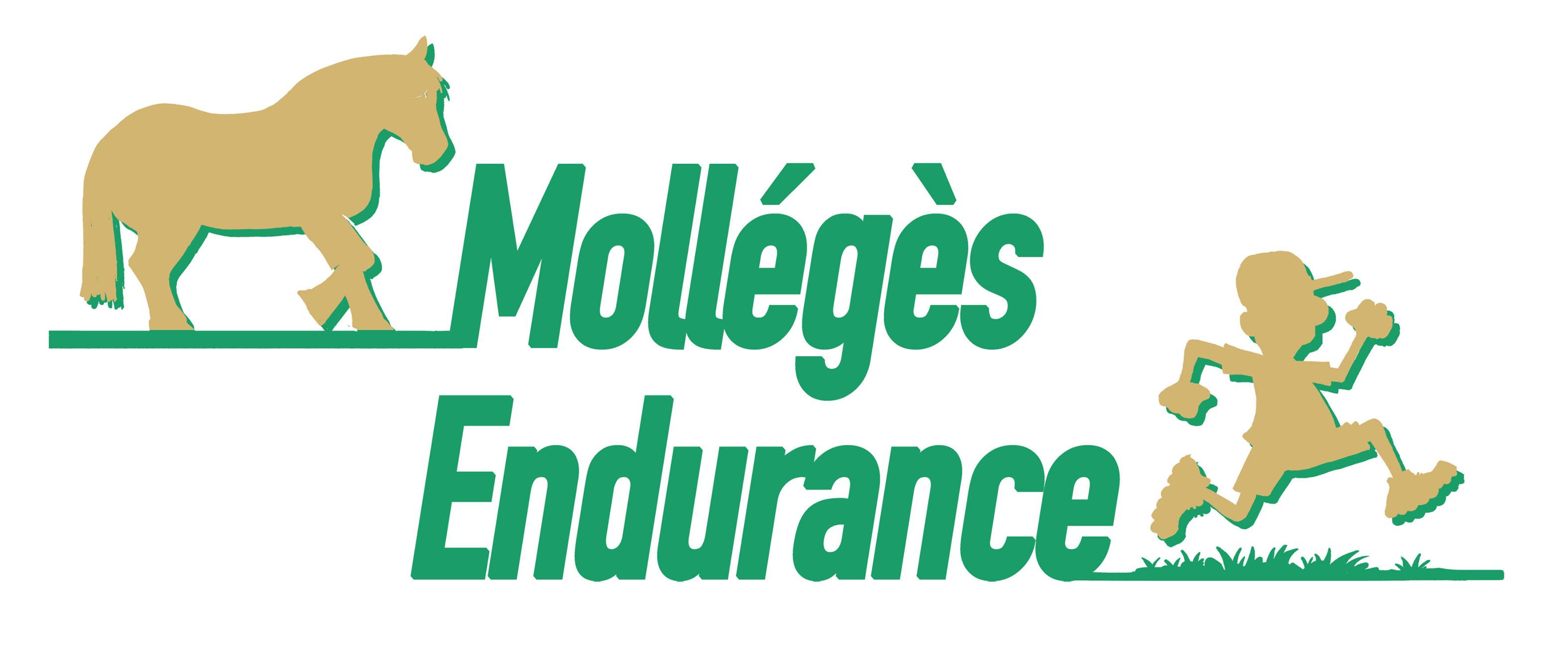assos_molleges endurance.jpg
