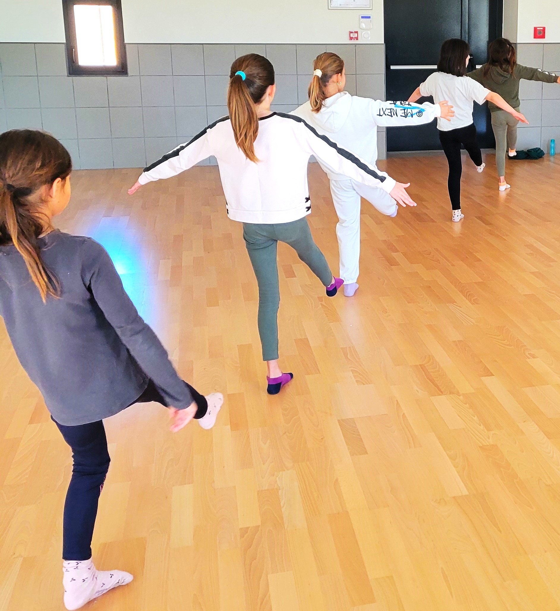 danse site molleges.jpg