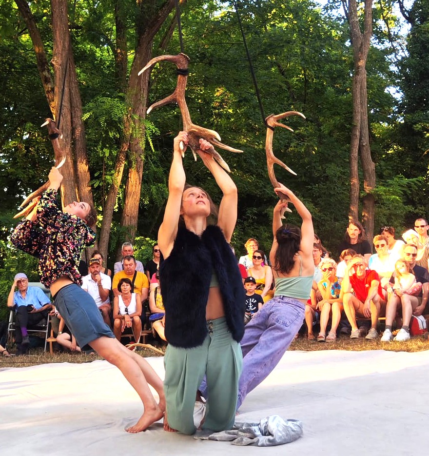 Faune 2 ©Sarah Megard.jpeg
