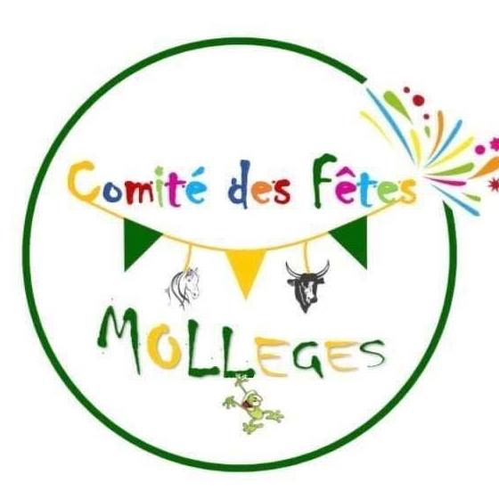 assos_comite des fetes.jpg