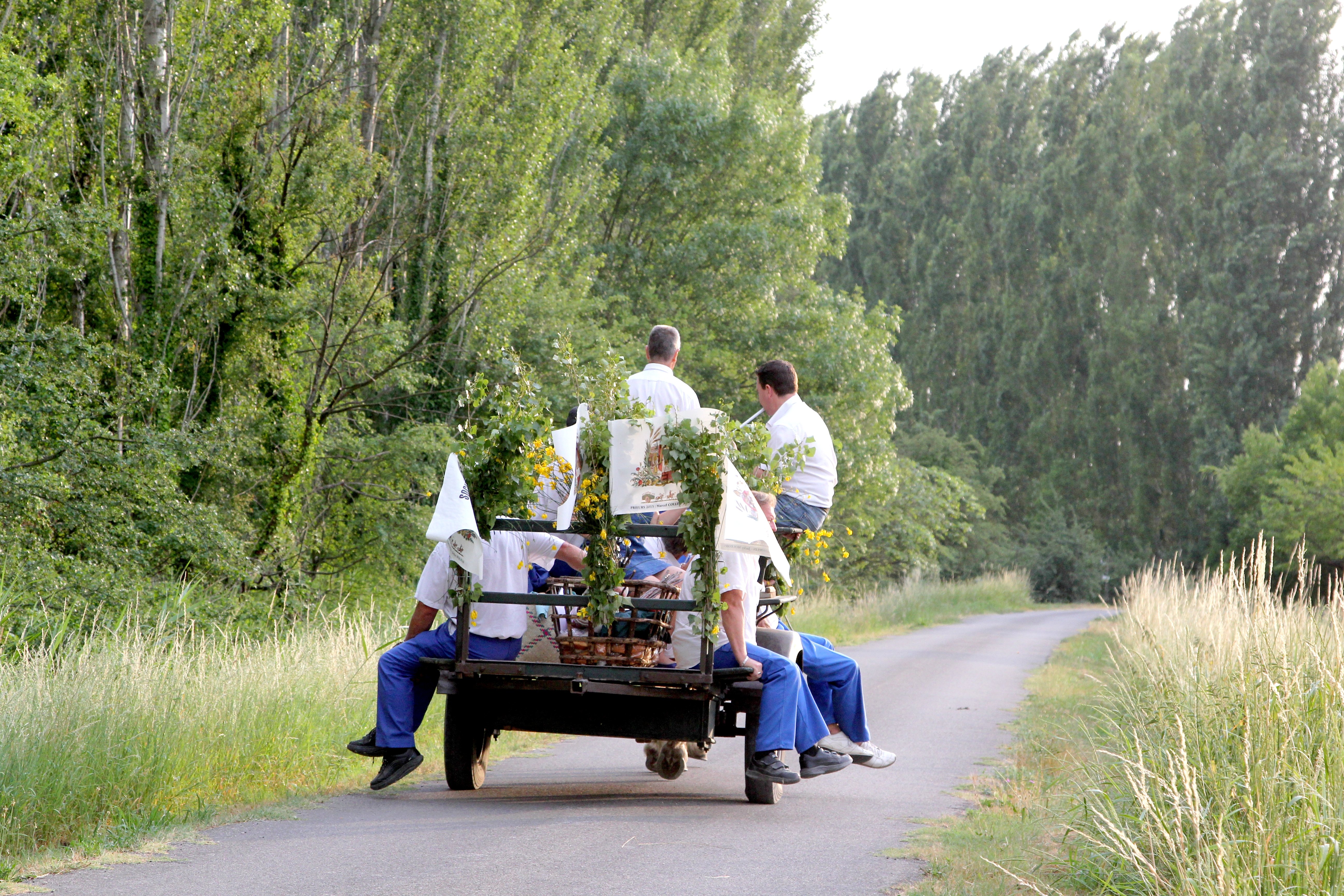 80 - tournée en Paluds 13-06-2015.JPG