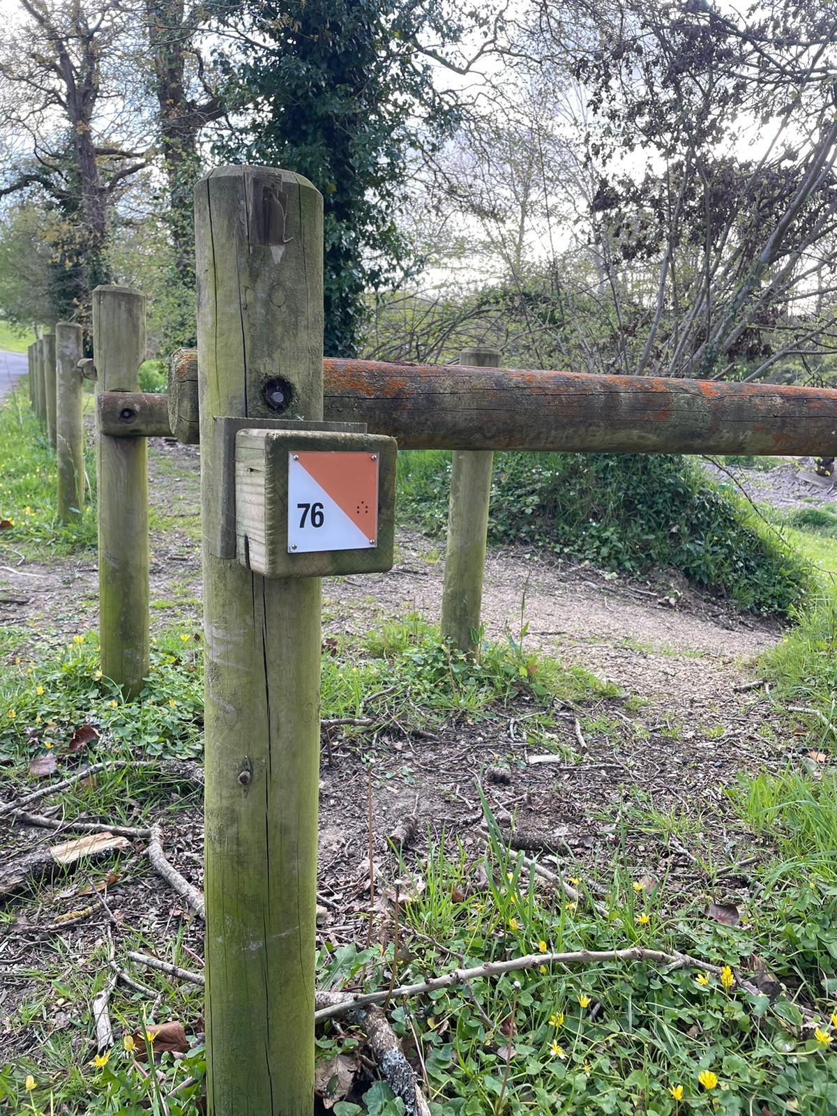 WhatsApp Image 2024-04-21 à 21.02.31_5a9d5469.jpg