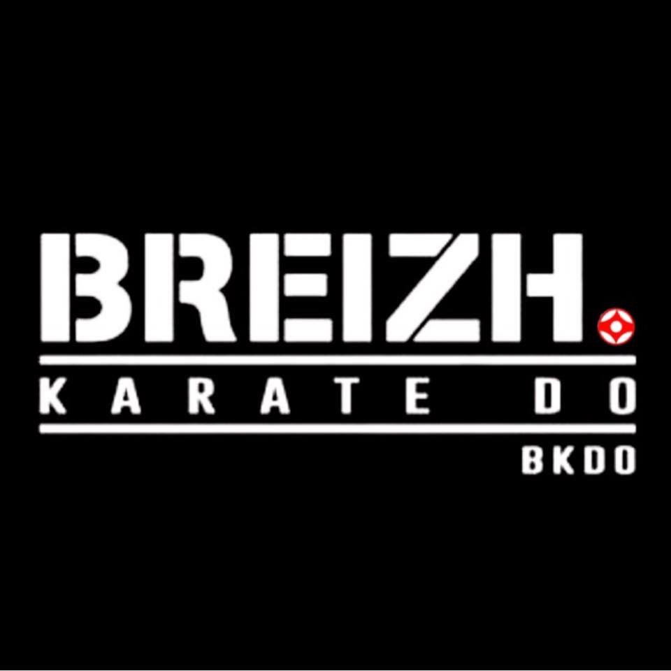 logo karaté.jpg