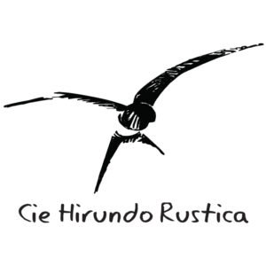 hirundo-300x300.jpg