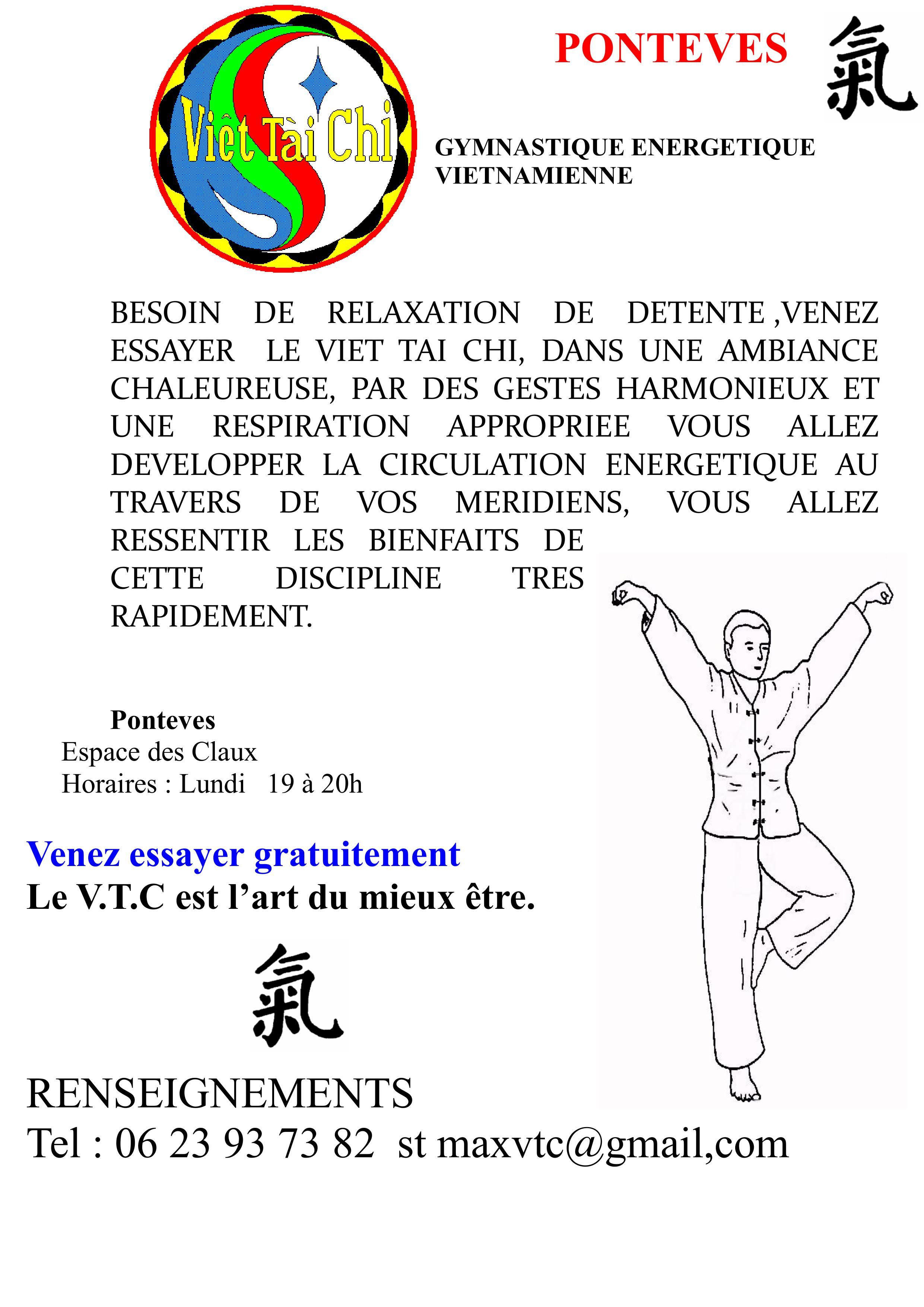 PONTEVES viet tai chi_1_.jpg