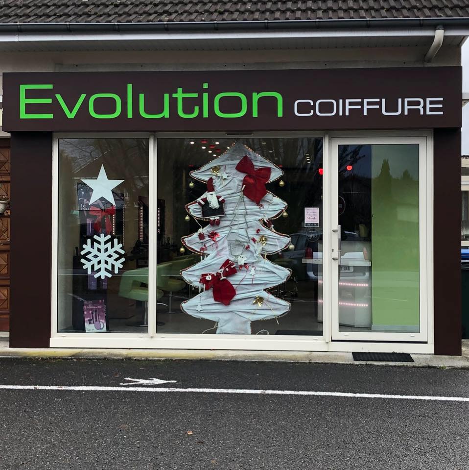 evolution coiffure.jpg