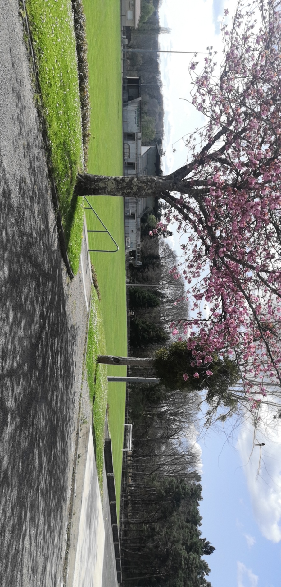 Terrain foot NEOPSE.jpg