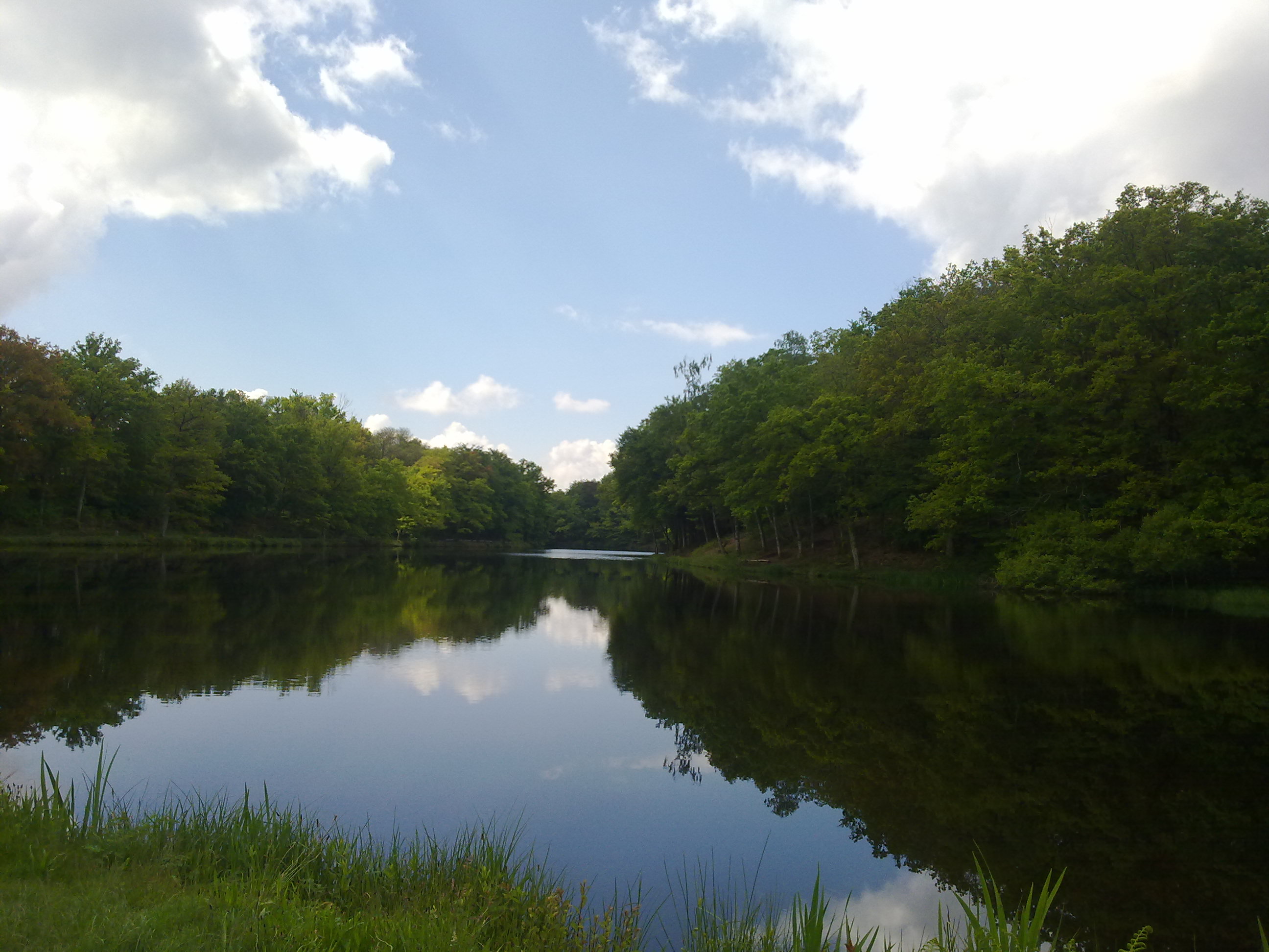 Sentier des étangs - _ Étang de Guillot_.jpg