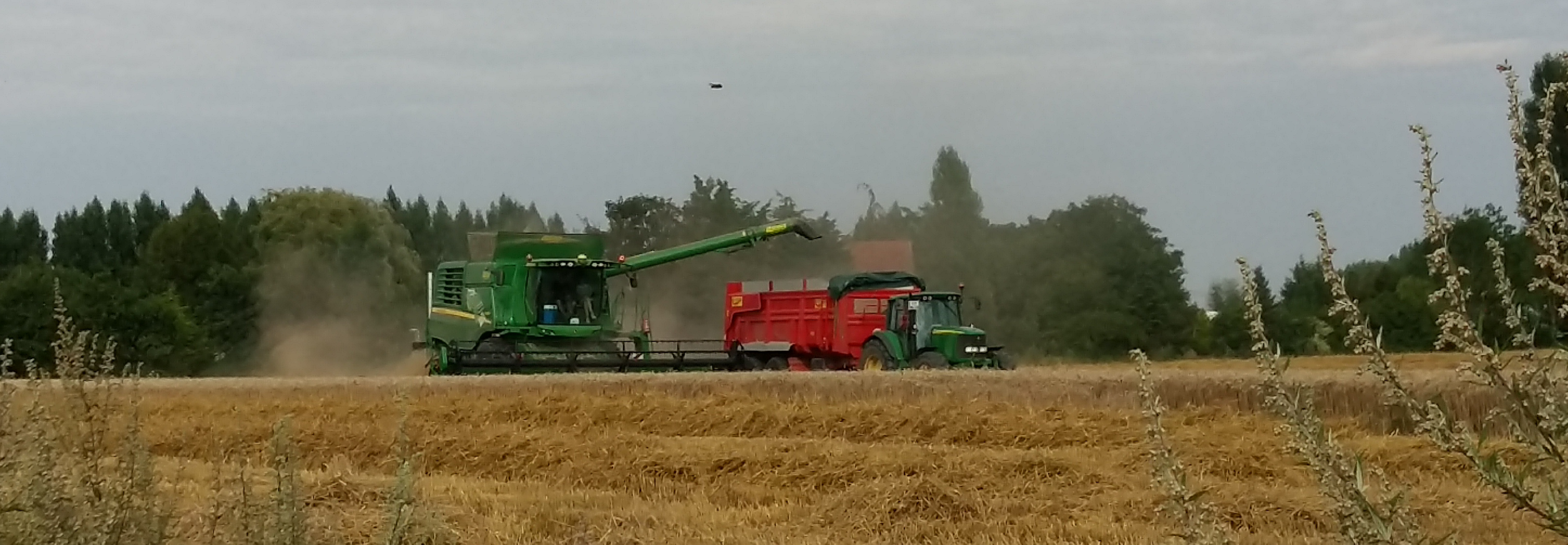 Agriculture.jpg