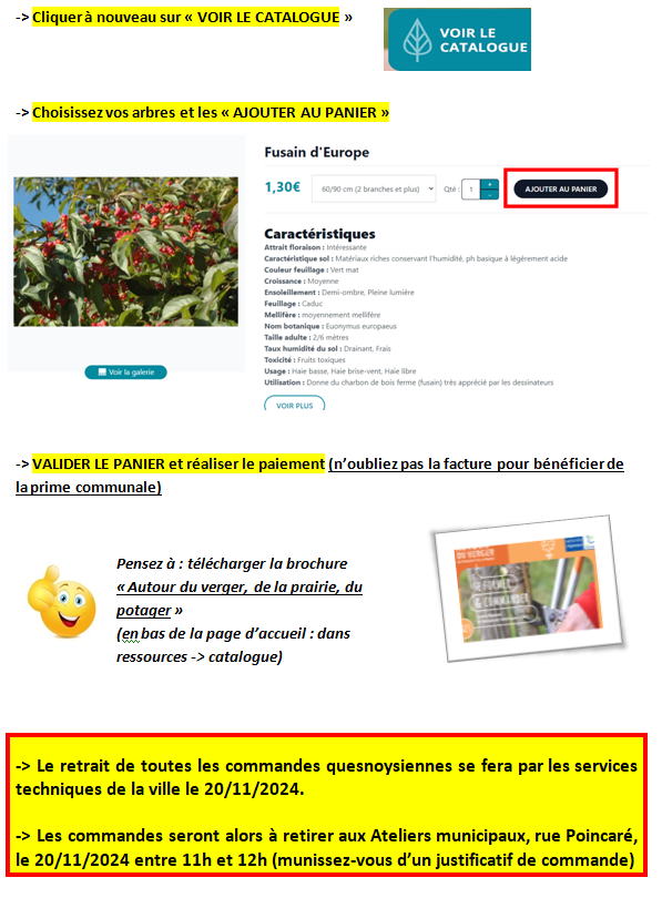 plantons le décor1.png