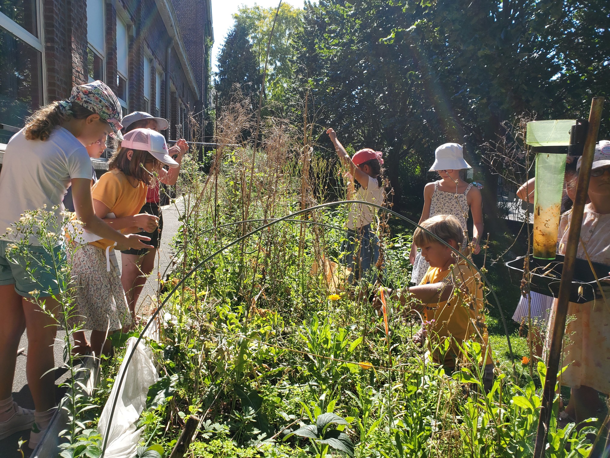 Jardins_pédagogiques_3.jpg