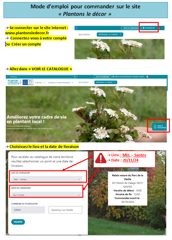 plantons le décor.png