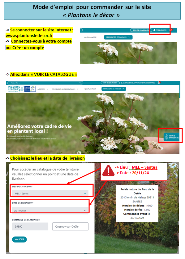 plantons le décor.png