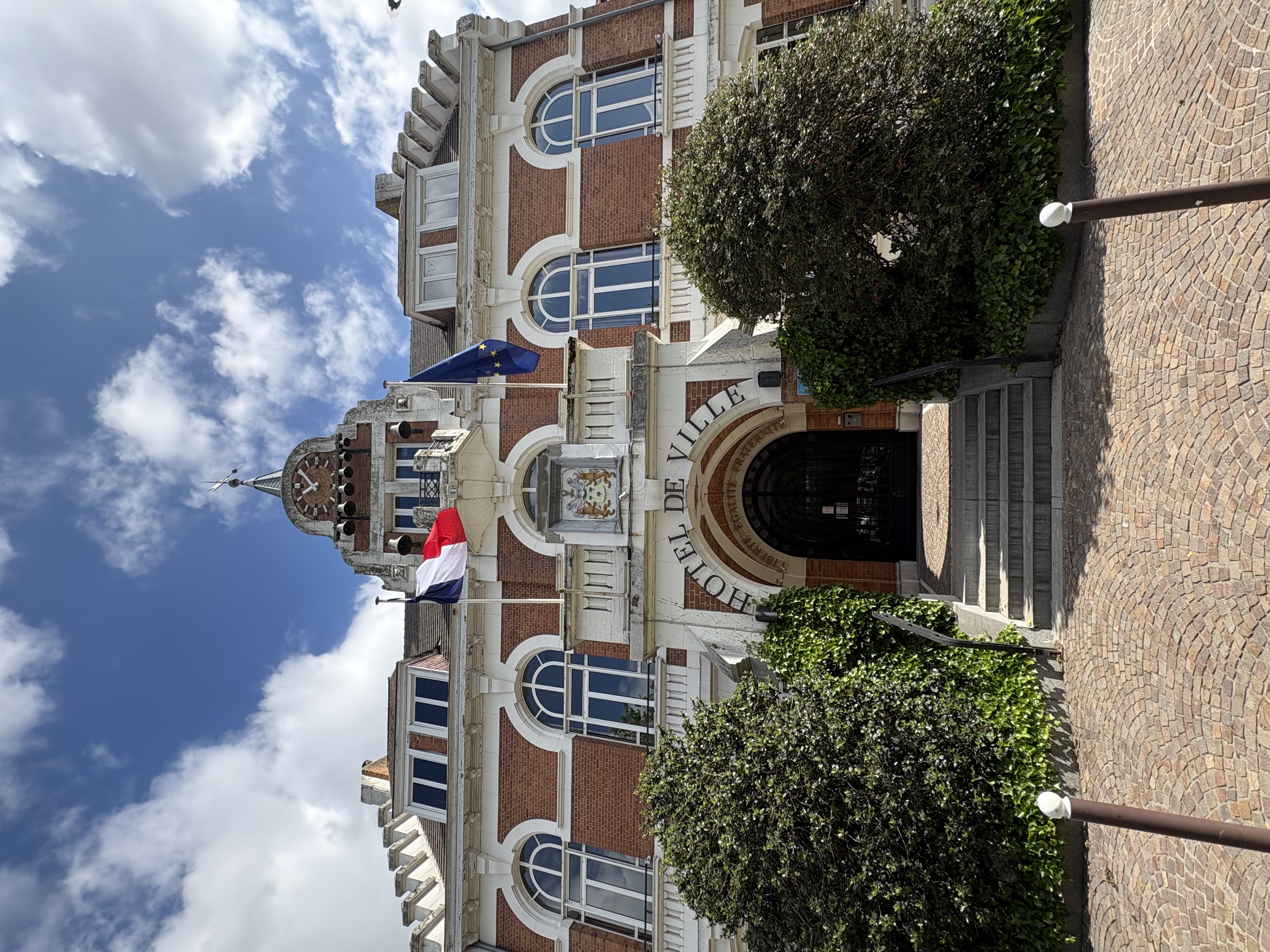 IMG_2071.jpeg