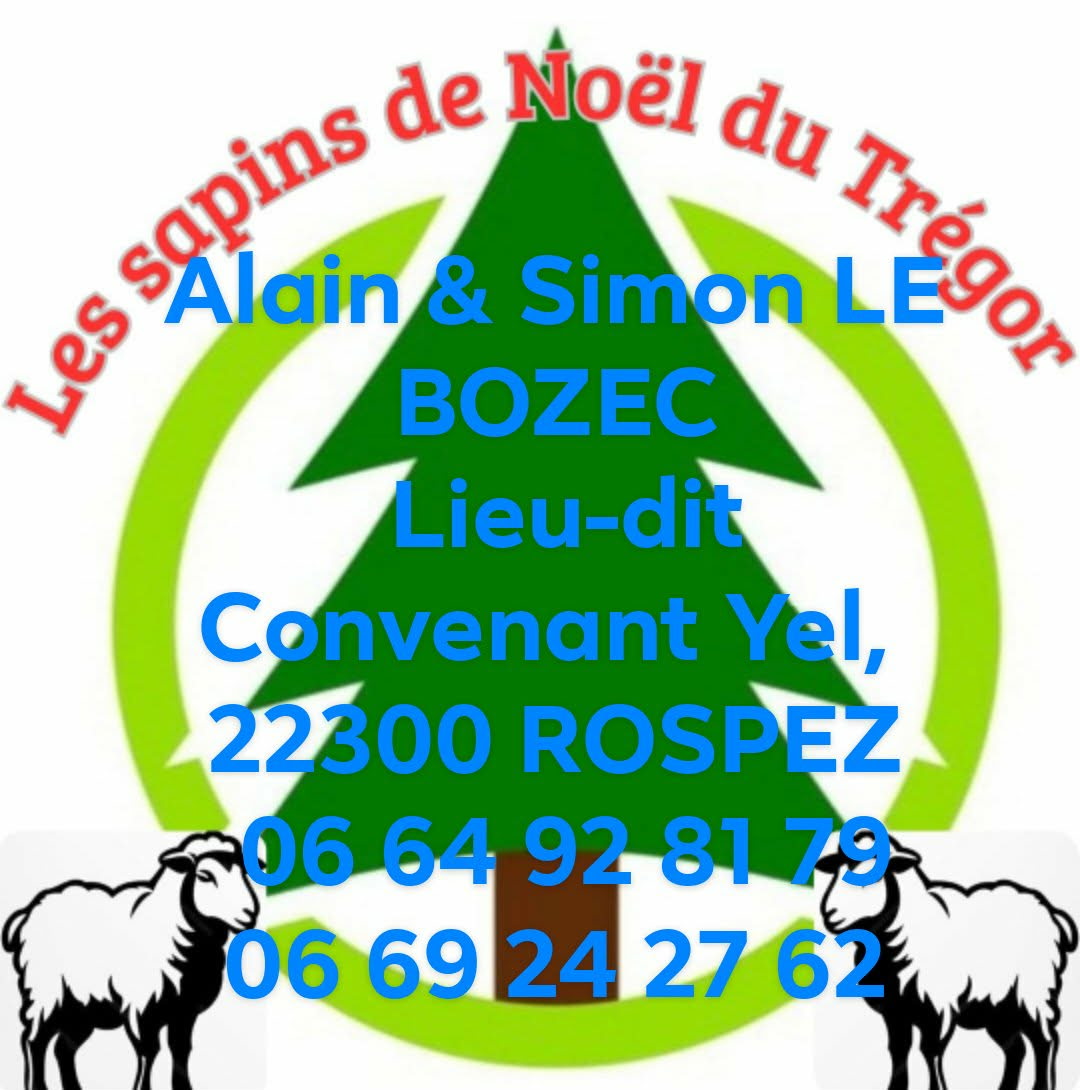 Sapins du Trégor.JPG