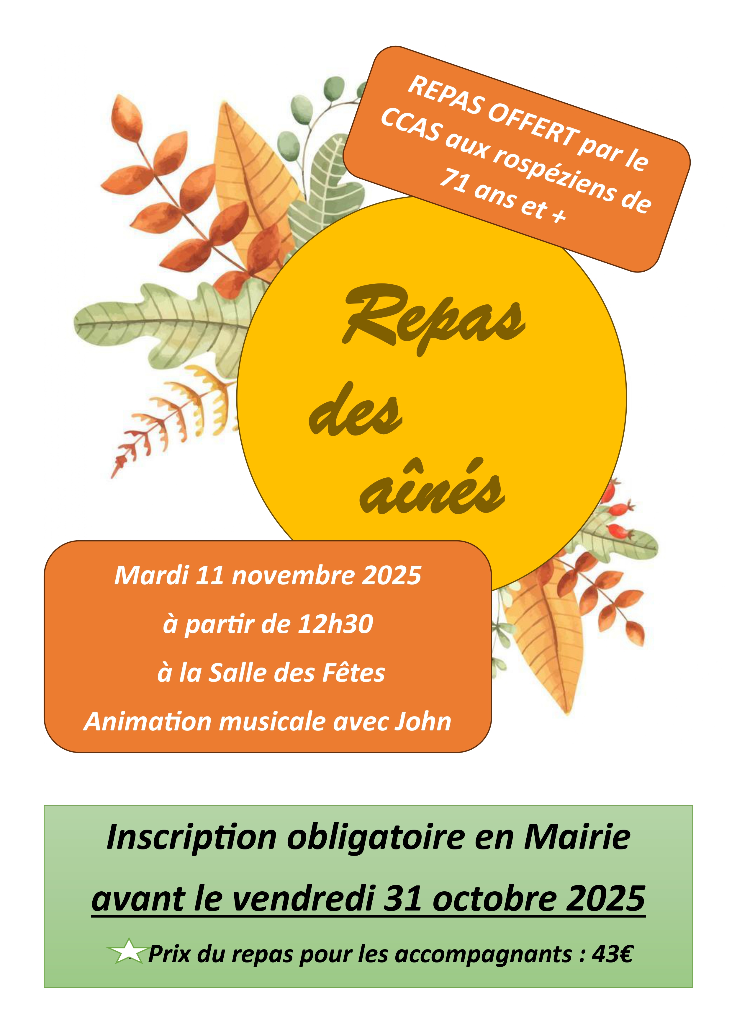 affiche repas des ainés.2025_page-0001.jpg