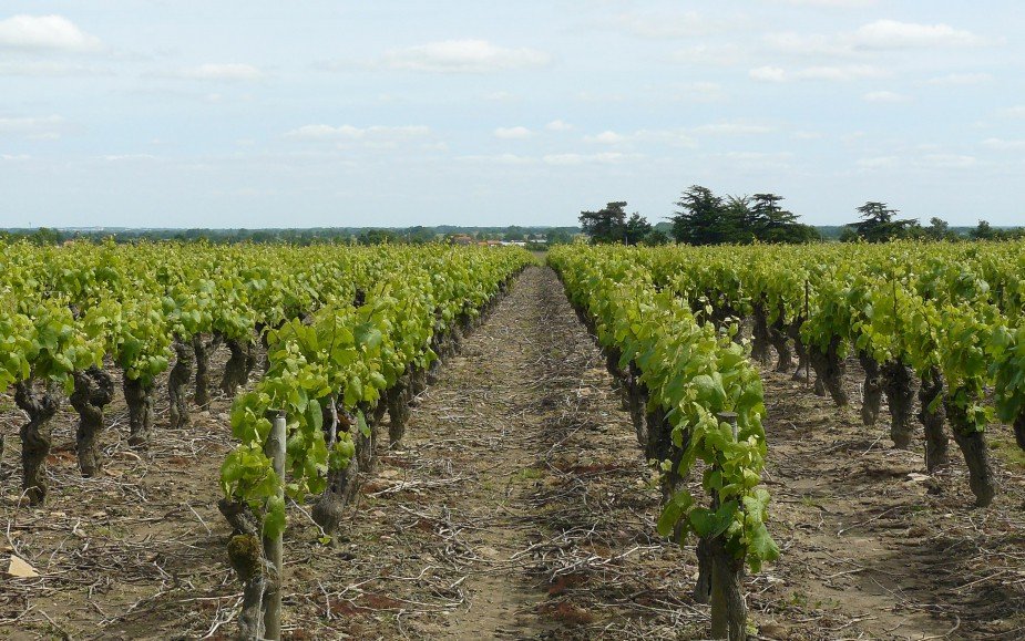 St Fiacre sur Maine_présentation_1.jpg