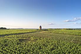 CARRIERE DE LA FAUBRETIERE.jpg