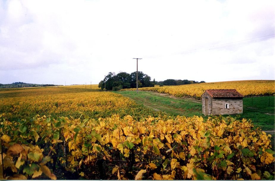 cabane d_écarteur.jpg