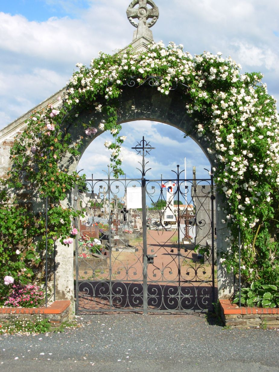cimetière.jpg