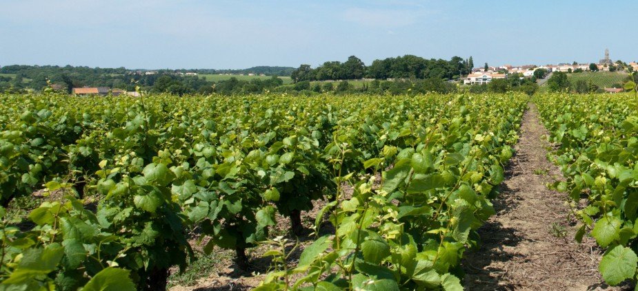 Panoramique.jpg