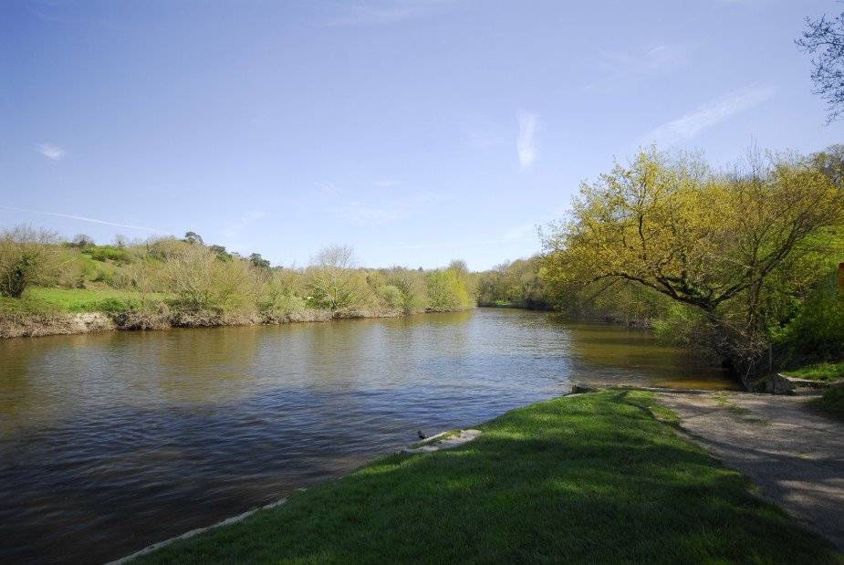 La sèvre au port de la cantrie.jpg