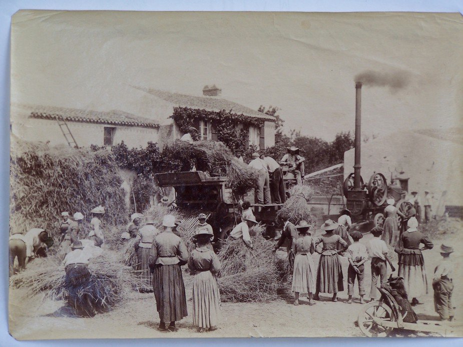 La Bourchinière.jpg