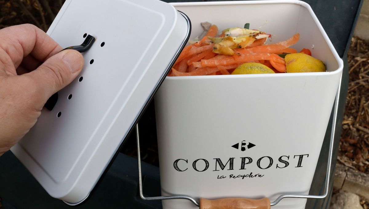 composteur2.jpg