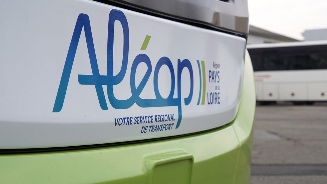 ALEOP.jpg