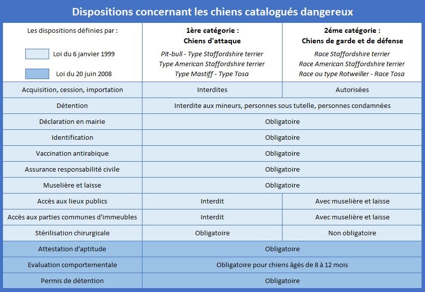 TABLEAU CHIEN2.JPG