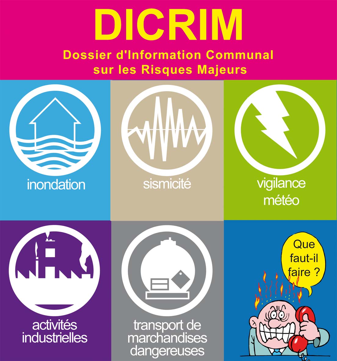 dicrim2.jpg