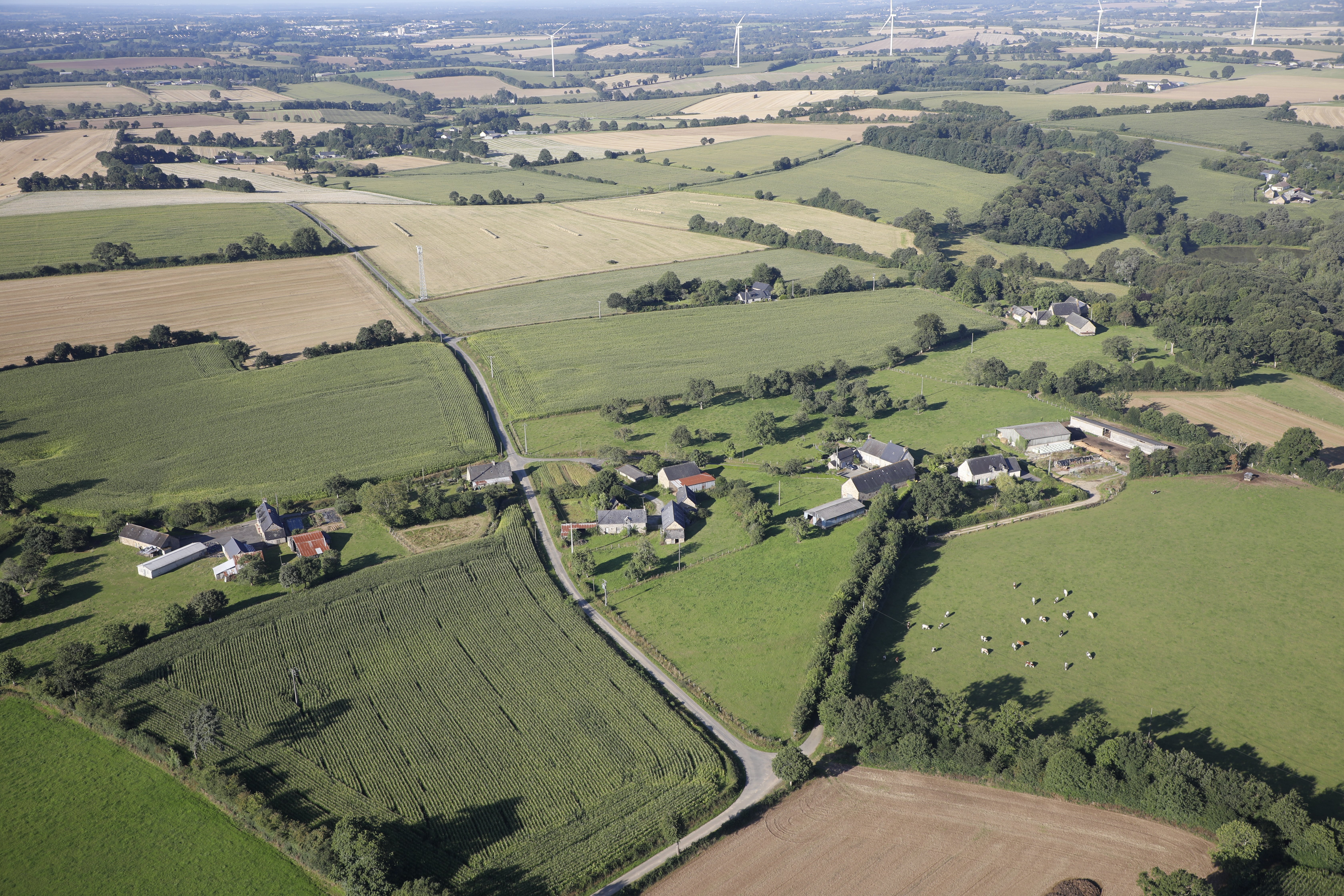 Augeard.JPG