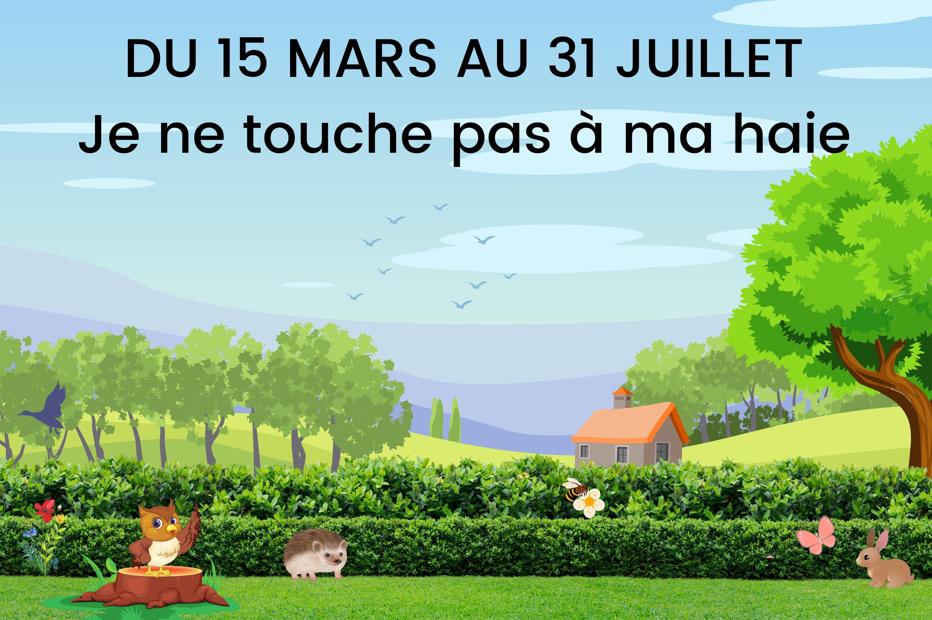 HAIES6.jpg