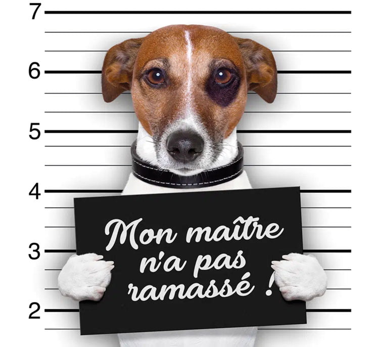 déjections canines3.jpg
