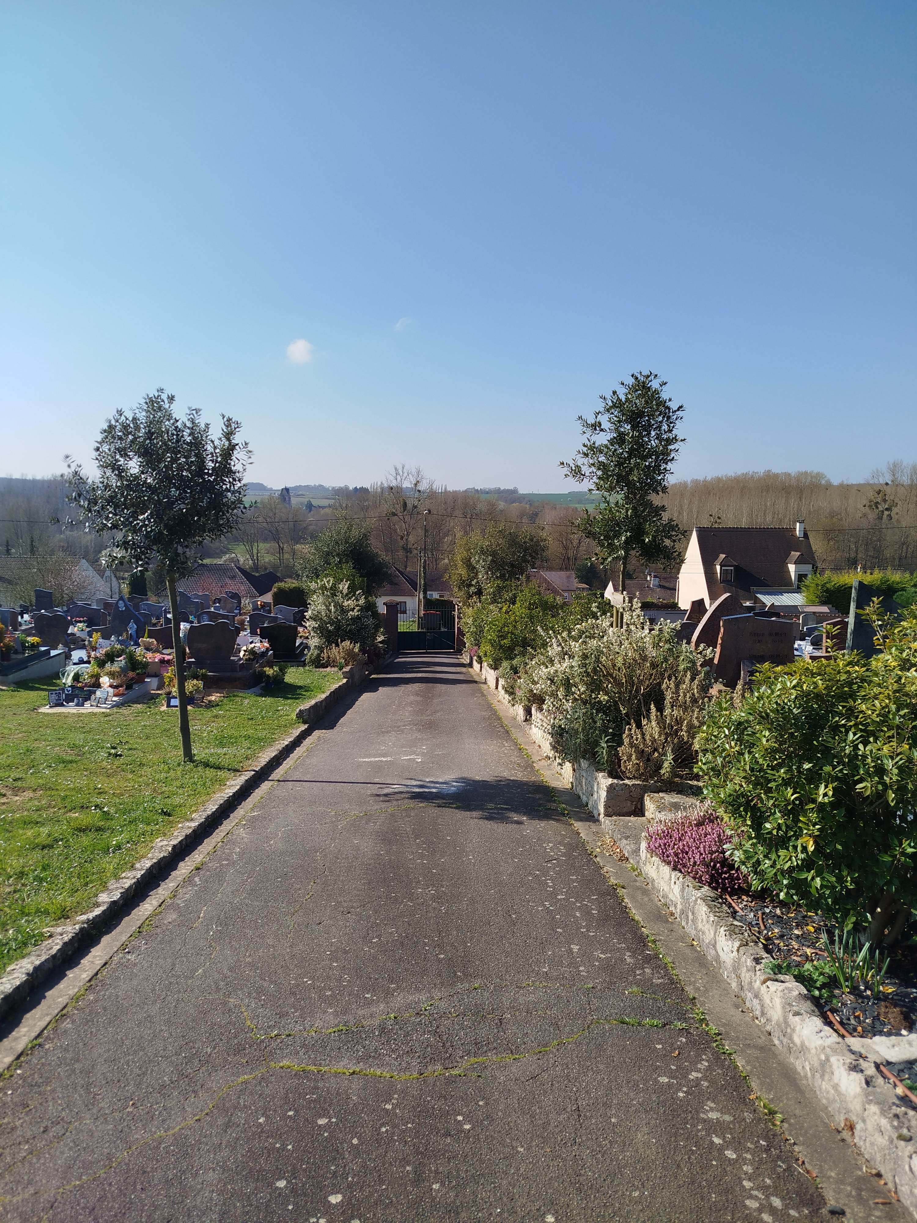 Cimetière végétalisé _1_.jpg