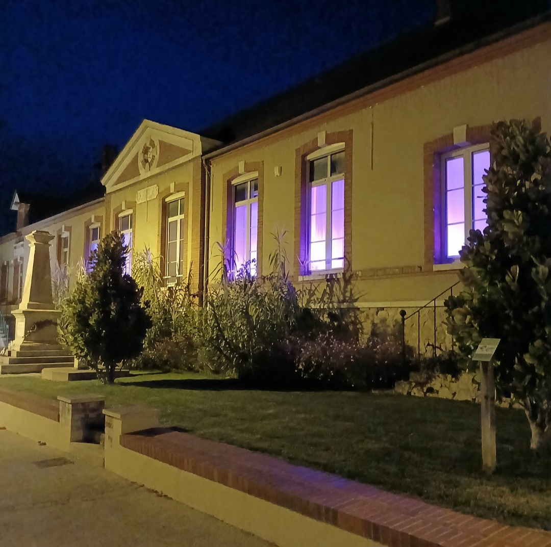 Mairie en rose.jpg