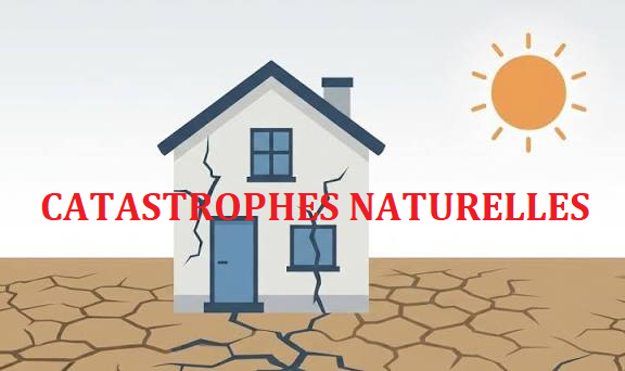 CATASTROPHES NATURELLES.png