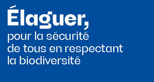 elager por la sécurité de tous.JPG